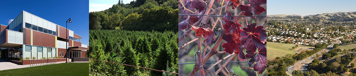 community center, Christmas tree farm, vineyard, view of town nestled in hills